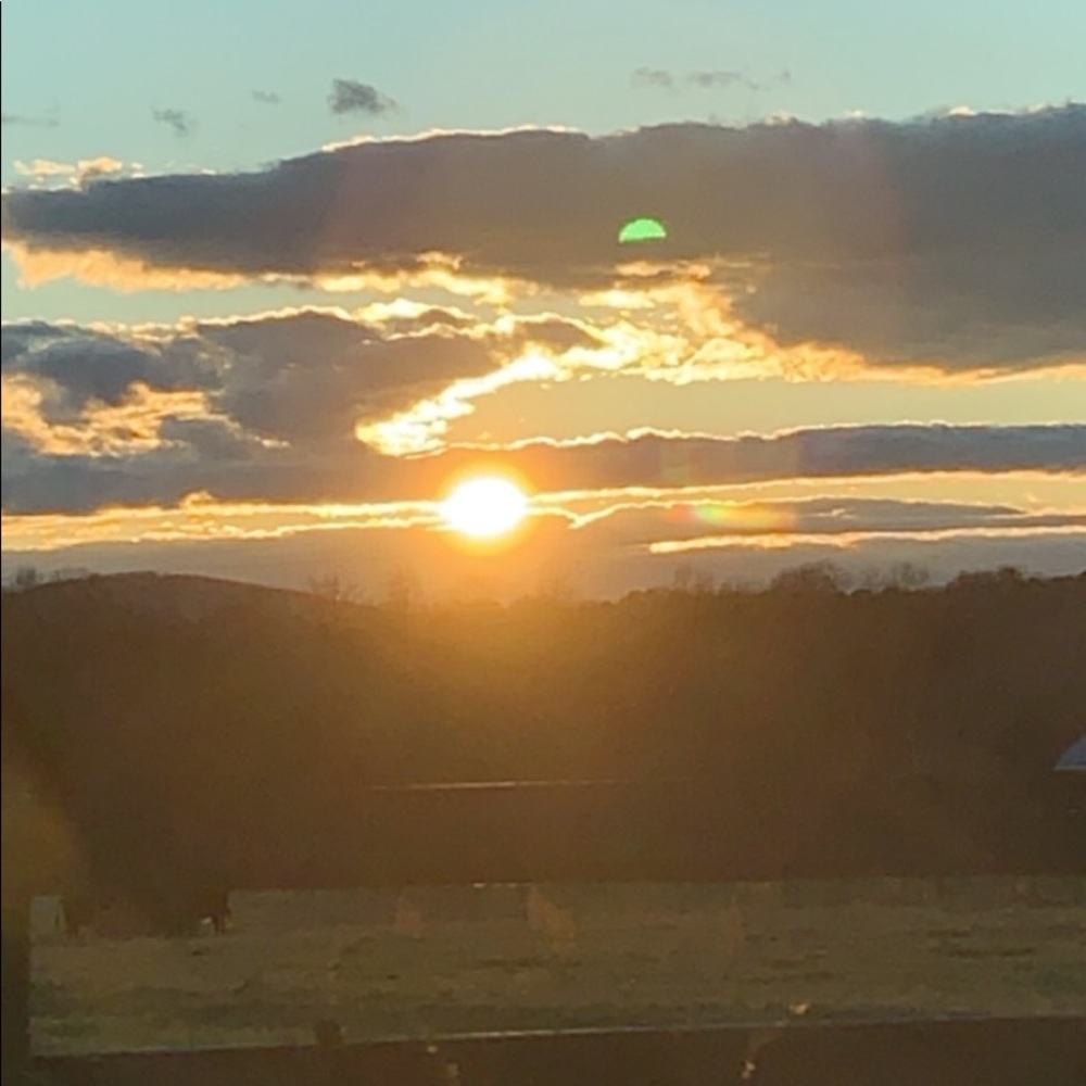 Meet your Posher, Kristy